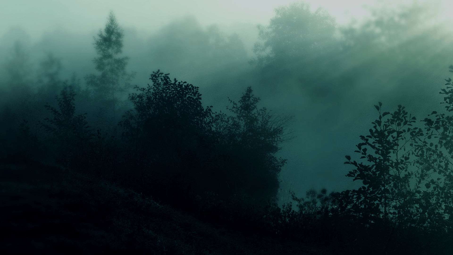 teal foggy forest, very moody