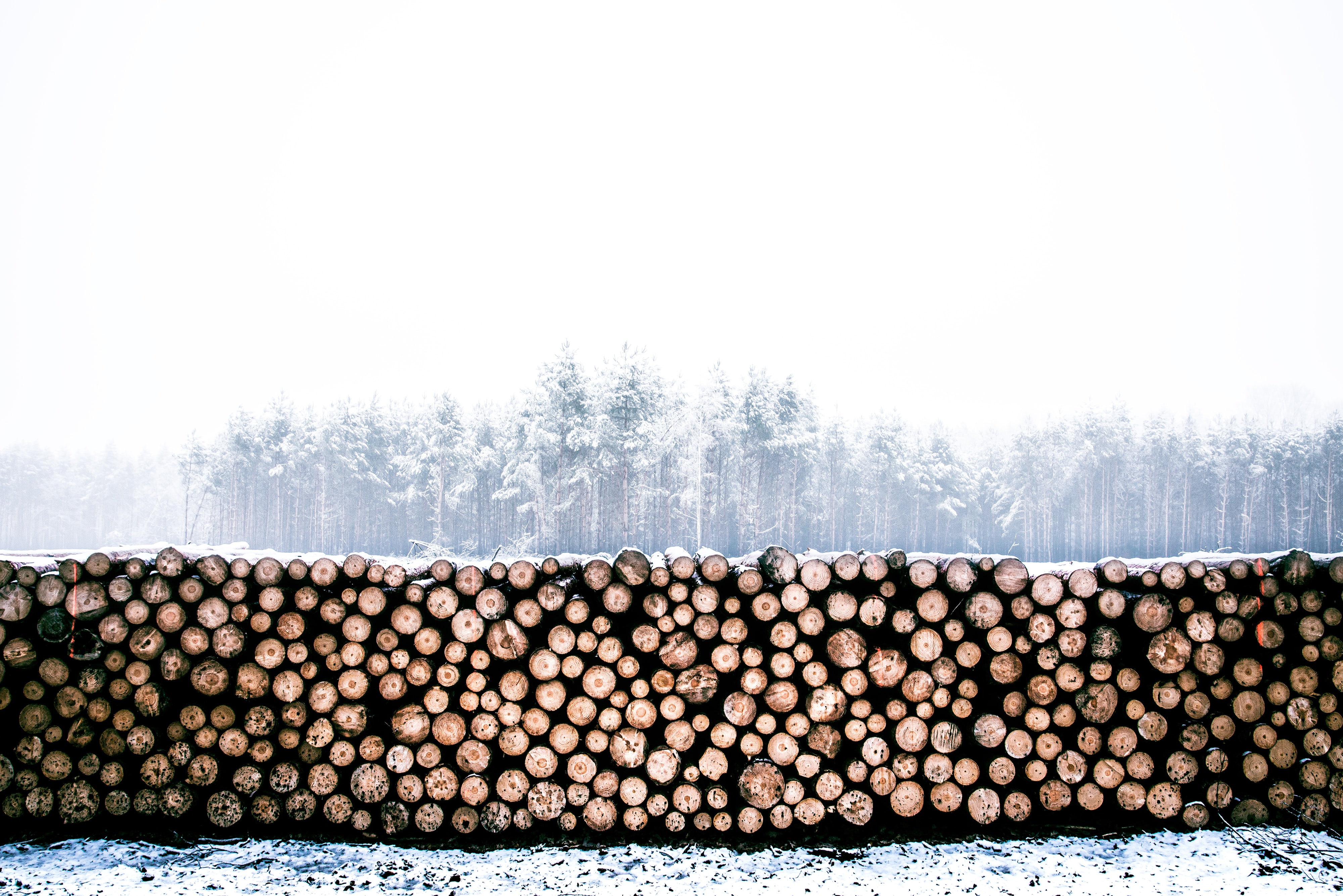 stacked logs, winter