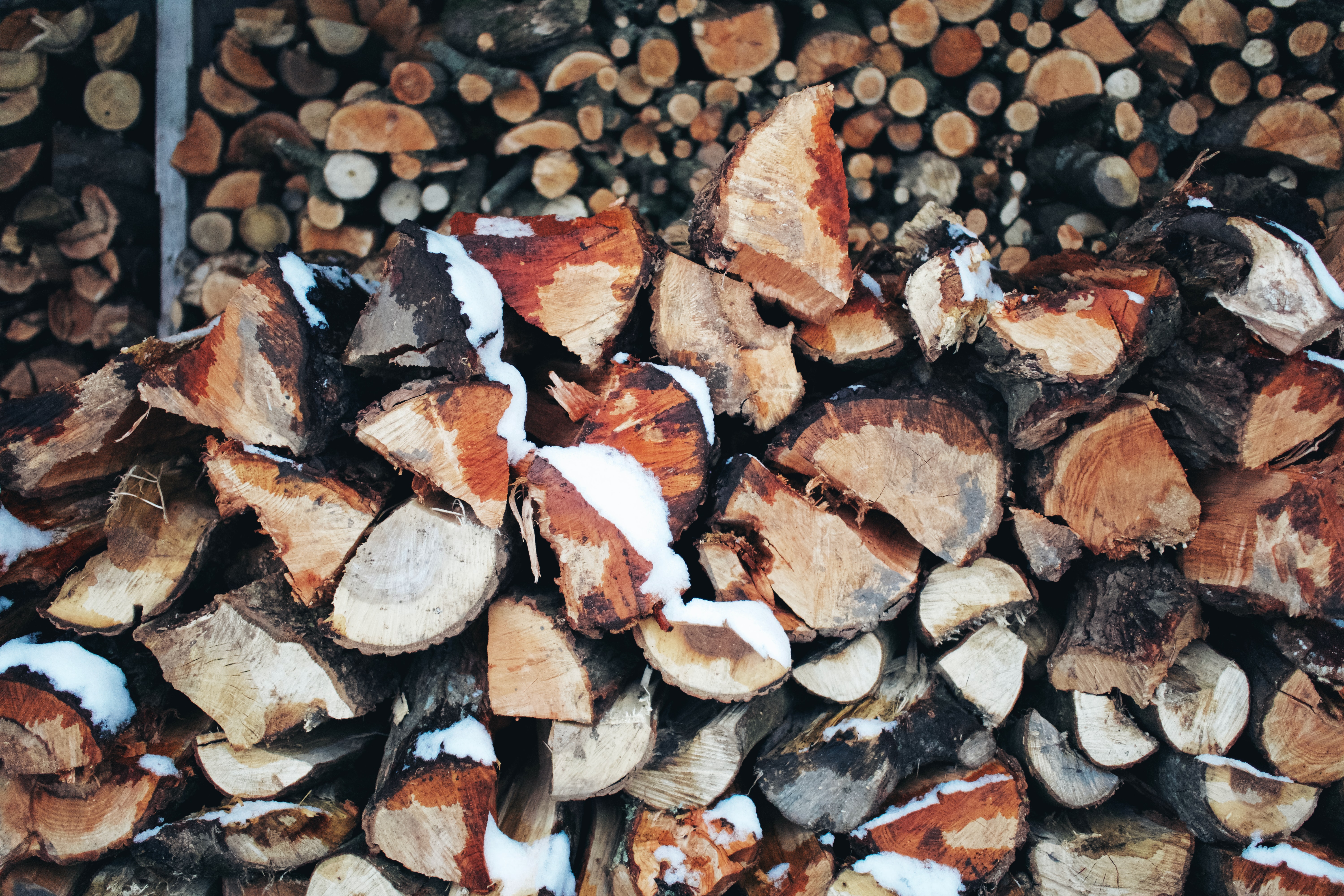 firewood with snow